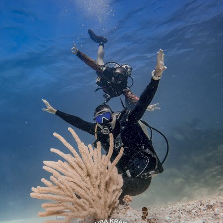 Dive in Puerto Morelos  – 2 tanks experience