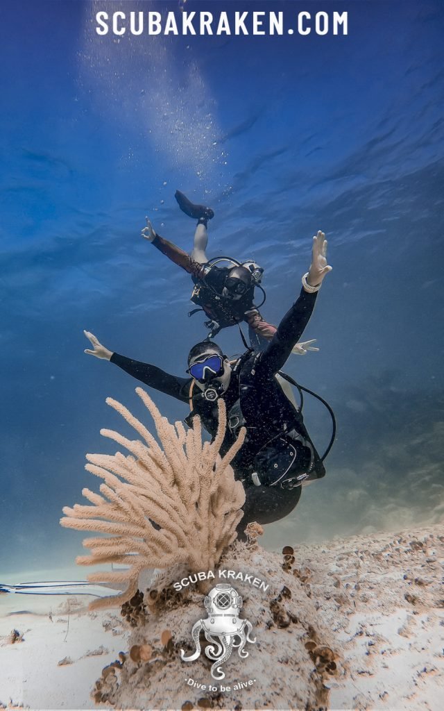 Dos buzos posando sobre la arena junto a un coral blando / Two divers posing over the sand beside a soft coral