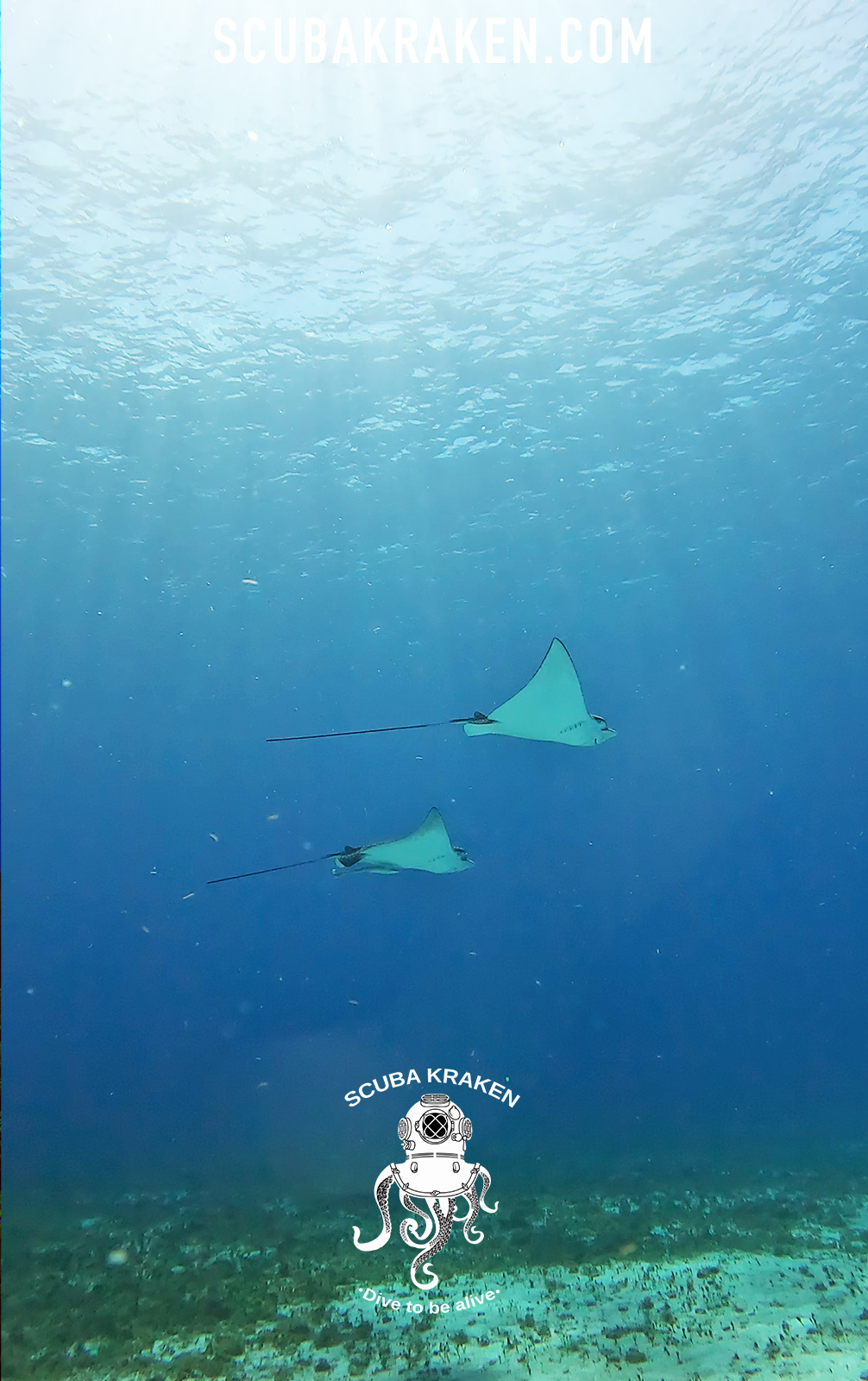 Couple snorkeling in tropical Mayan Riviera .