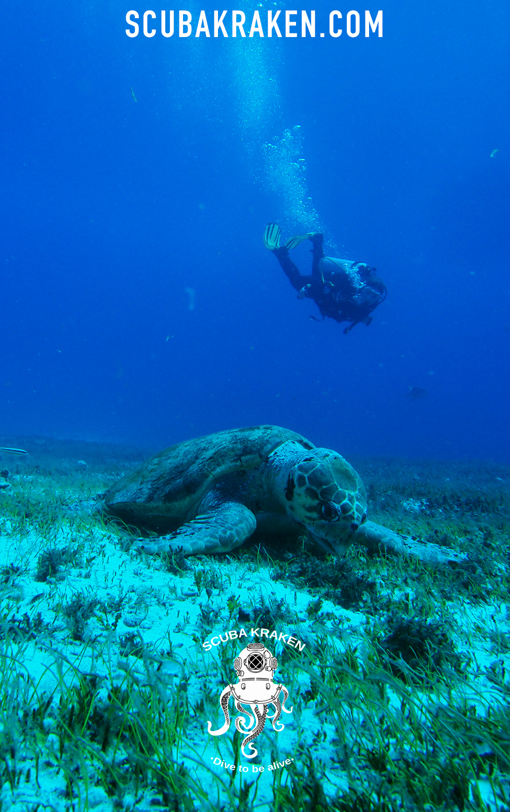 Couple snorkeling in tropical Mayan Riviera .