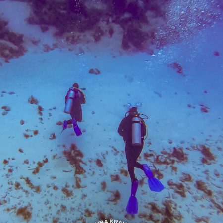 Deep Diver