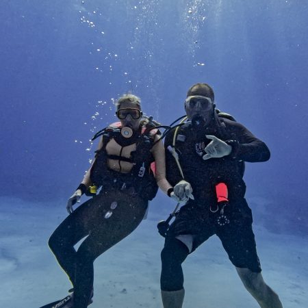 Drift Diver or Waves, Tides and Currents Diver