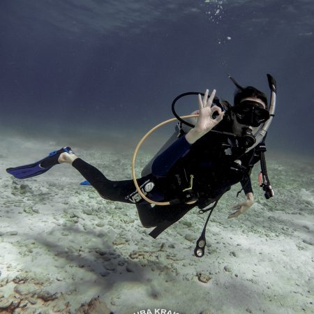 Open Water course + 2 Cenotes
