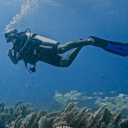Puerto Morelos + Cozumel