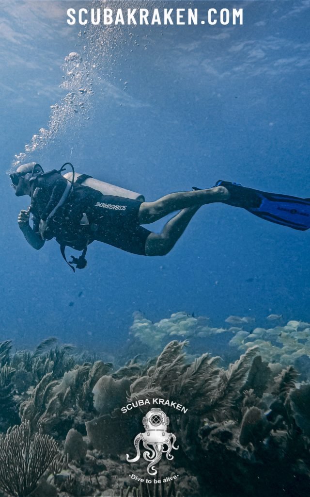 Buzo nadando sobre el arrecife en aguas azules entre burbujas / Diver swimming over the reef in blue water amid bubbles