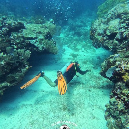 Open Water course + Cozumel
