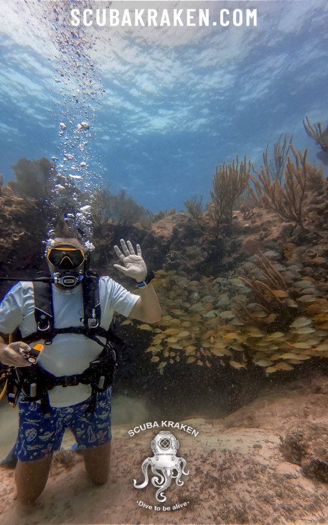 Buzo arrodillado haciendo señales junto al arrecife con peces cerca de la superficie / Diver kneeling and signaling beside the reef with fish near the surface