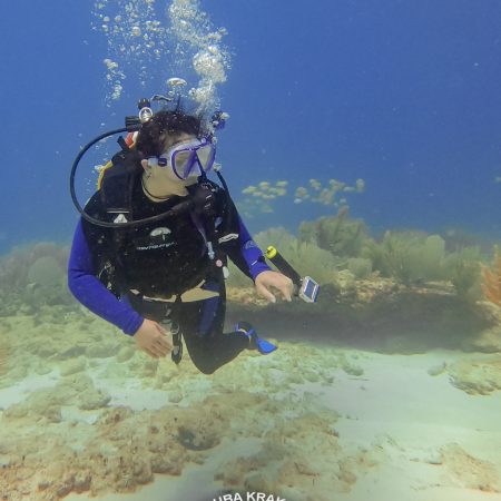 Scuba Diver Course