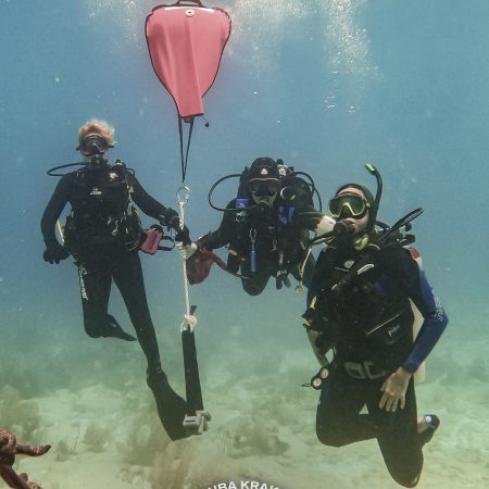 Serch & Recovery Diver