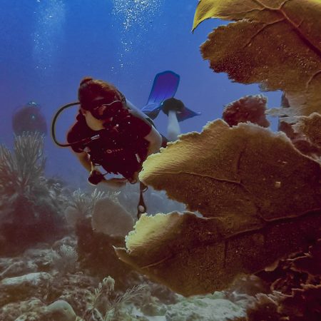 Advanced Open Water course + Cenotes