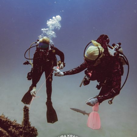 Wreck Diver