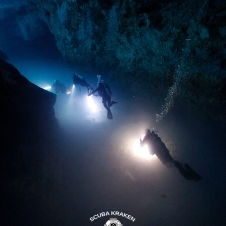 Dive in Cenotes  – 2 tanks experience