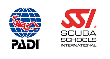 logos-padi-ssi
